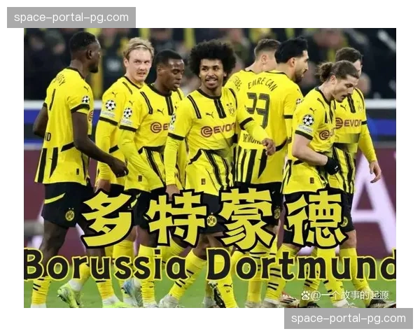 多特蒙德中卫聚勒再次受伤，可能已踢完大黄蜂生涯最后一战